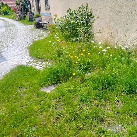 Am Pochebach Kurort Jonsdorf