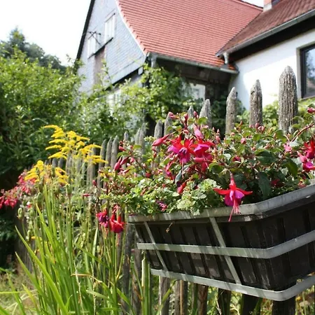 Am Pochebach Apartment *