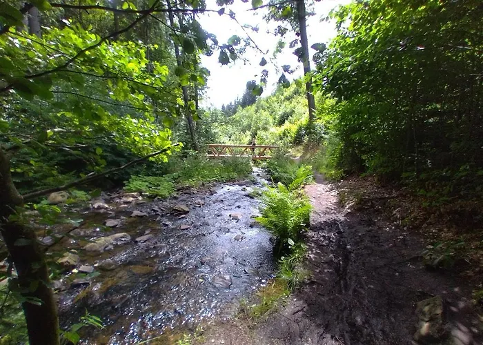 Am Pochebach * Jonsdorf